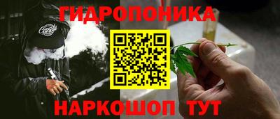 СК Краснознаменск