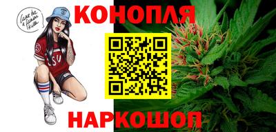 СК Краснознаменск