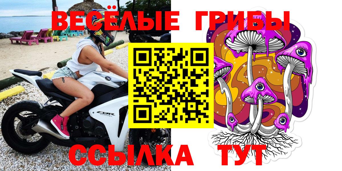 Кудрово  Галлюциногенные грибы Magic Shrooms  Вход с VPN 
