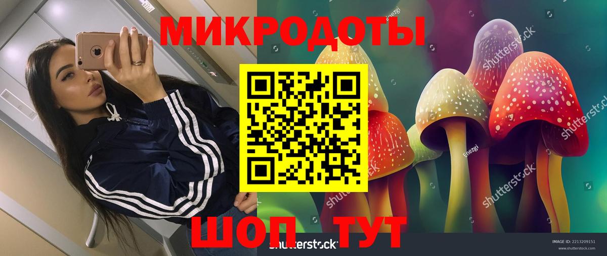 Галлюциногенные грибы мухоморы Кудрово